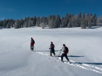 Ballade en raquettes Bevaix - Creux-du-Van